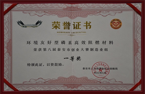 泰安市创业大赛制造业组一等奖