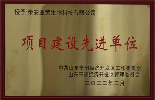 2022年项目建设先进单位